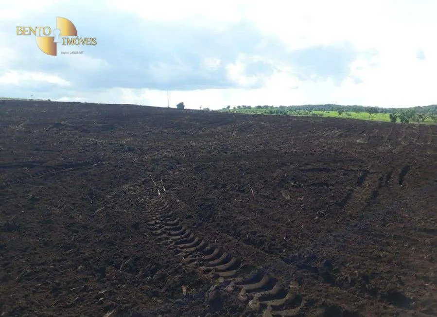 Fazenda à venda de 1.678 ha em Ribeirão Cascalheira, MT, Brasil