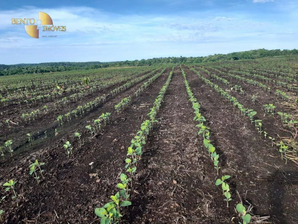 Fazenda à venda de 1.678 ha em Ribeirão Cascalheira, MT, Brasil