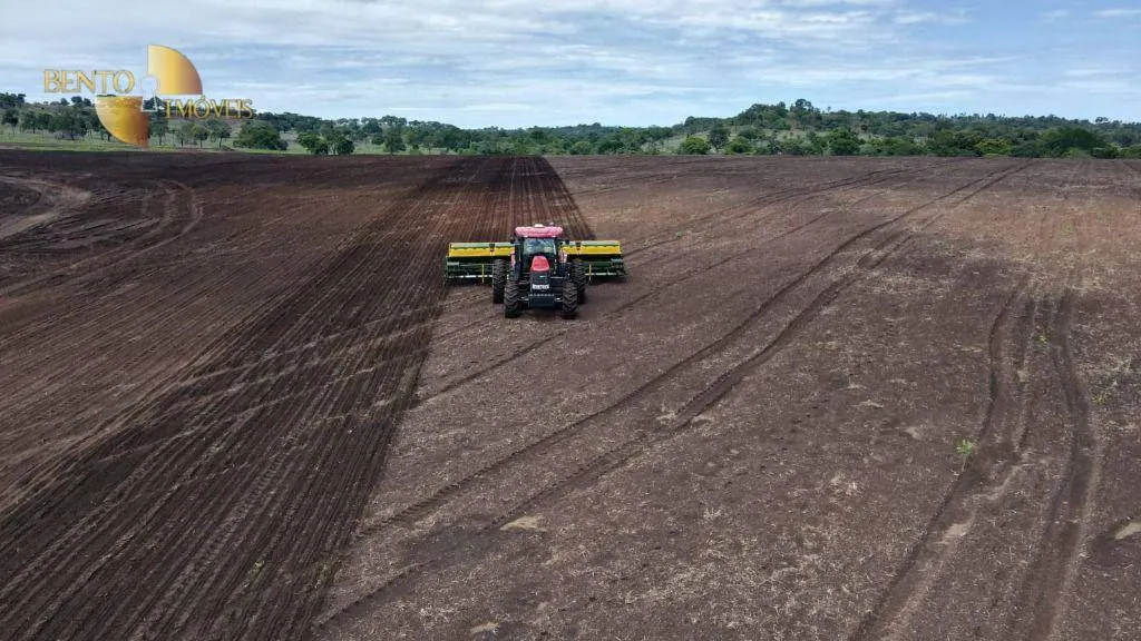 Fazenda à venda de 1.678 ha em Ribeirão Cascalheira, MT, Brasil