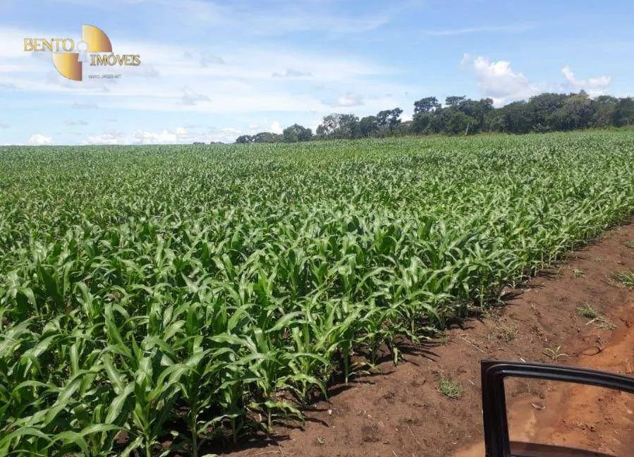 Fazenda à venda de 1.678 ha em Ribeirão Cascalheira, MT, Brasil