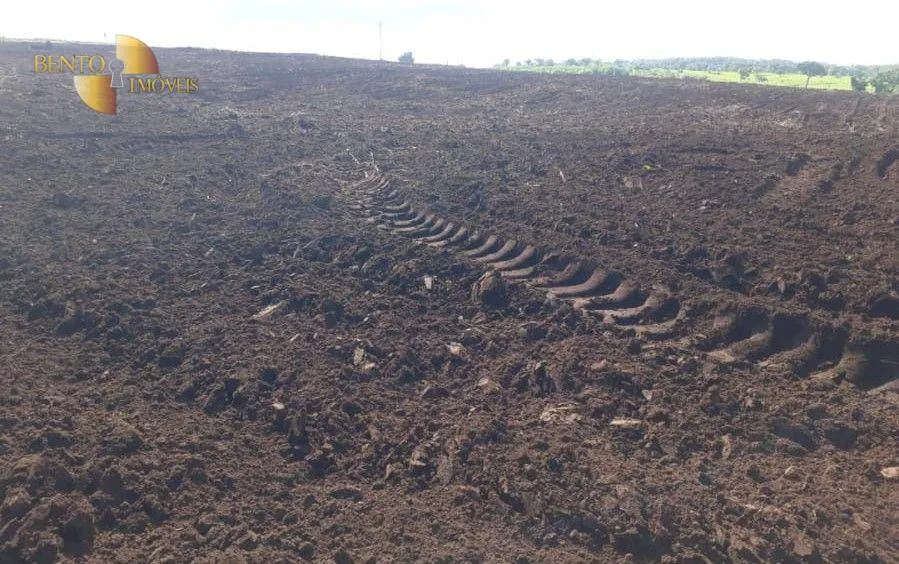 Fazenda à venda de 1.678 ha em Ribeirão Cascalheira, MT, Brasil