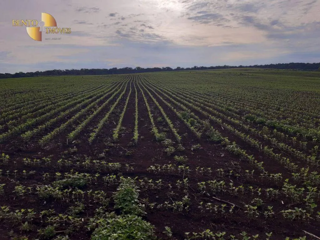 Fazenda à venda de 1.678 ha em Ribeirão Cascalheira, MT, Brasil