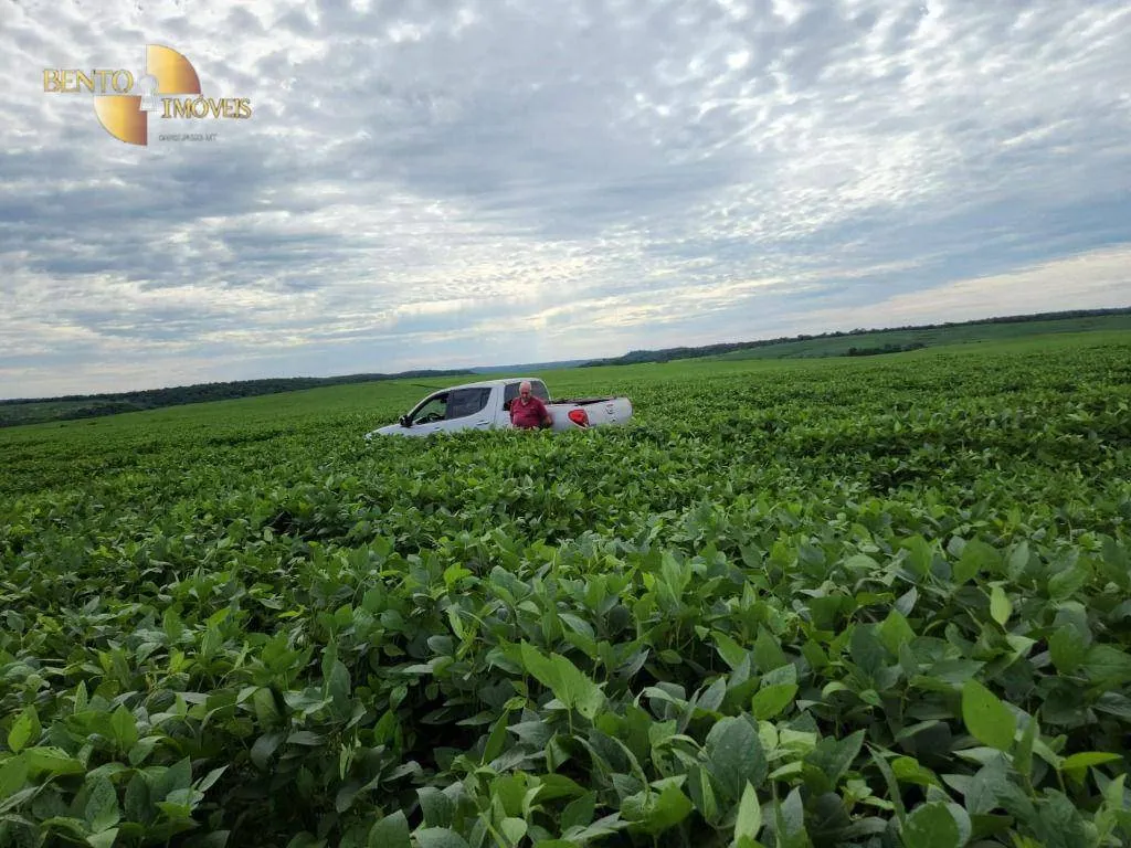 Fazenda à venda de 1.678 ha em Ribeirão Cascalheira, MT, Brasil