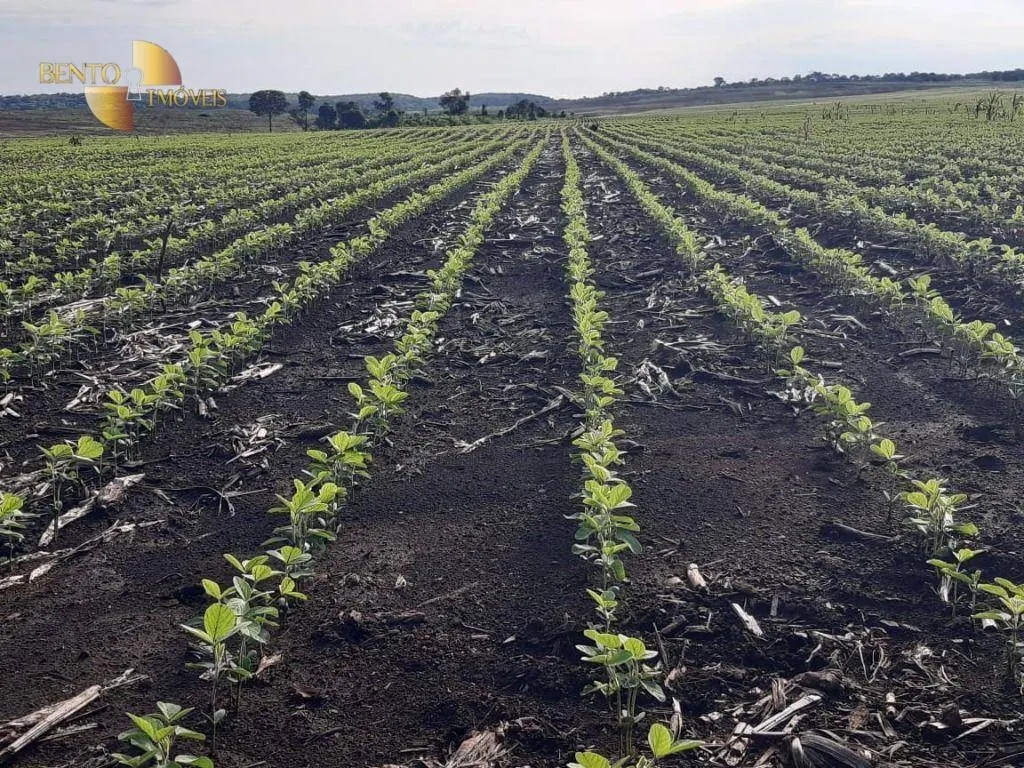 Fazenda à venda de 1.678 ha em Ribeirão Cascalheira, MT, Brasil