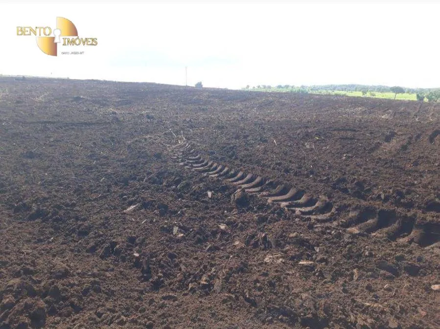 Fazenda à venda de 1.678 ha em Ribeirão Cascalheira, MT, Brasil