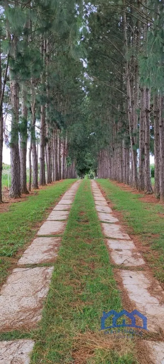 Sítio à venda de 43 ha em Itapetininga, SP, Brasil