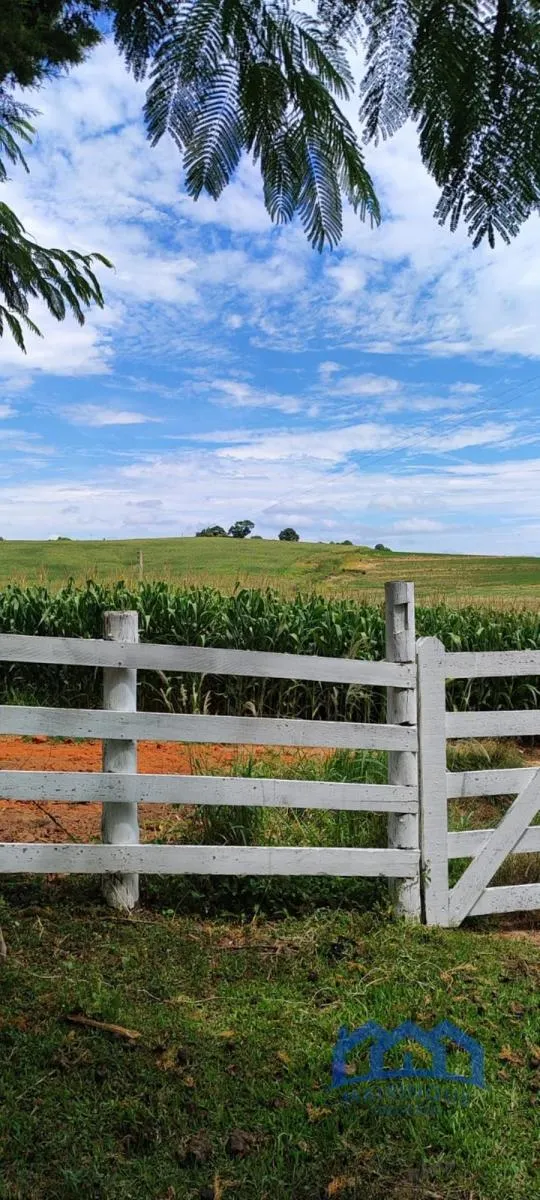 Sítio à venda de 43 ha em Itapetininga, SP, Brasil