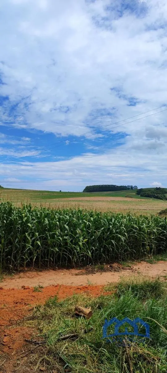 Sítio à venda de 43 ha em Itapetininga, SP, Brasil