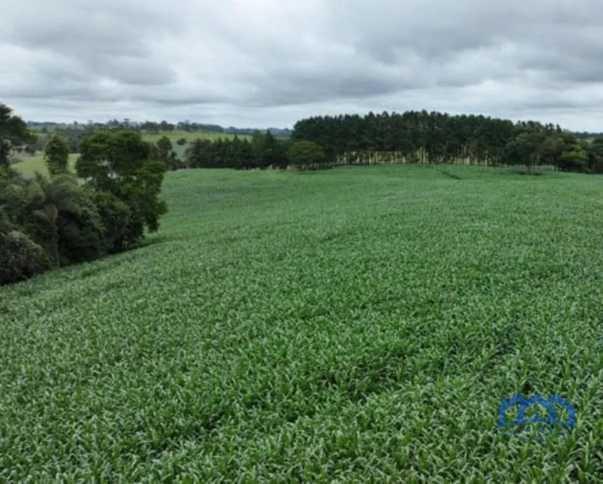 Sítio à venda de 43 ha em Itapetininga, SP, Brasil