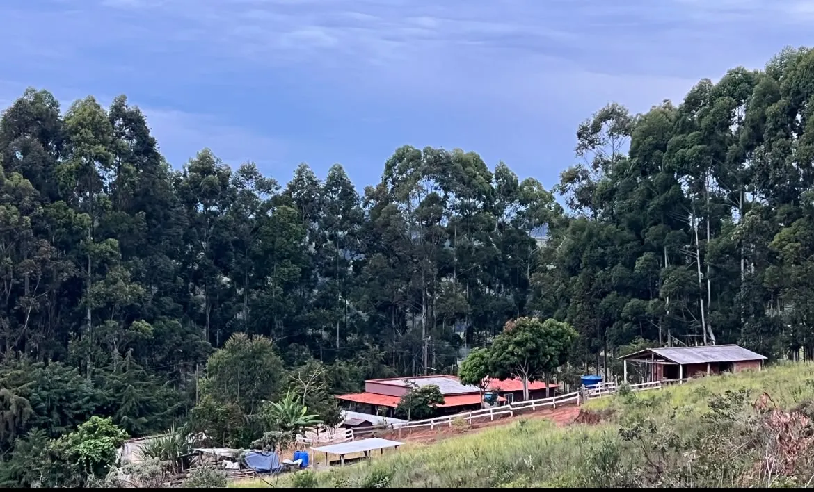 Farm for sale of 188 acres in Aiuruoca, MG, Brazil