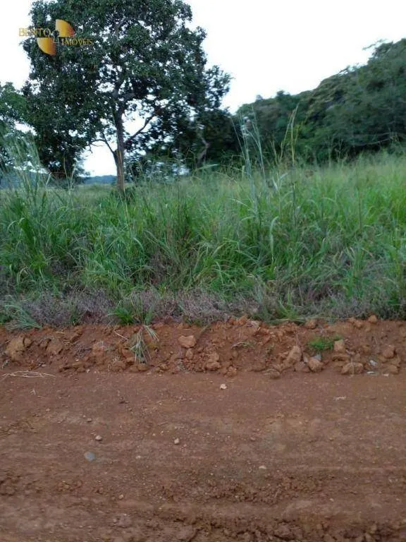Fazenda à venda de 7.430 ha em Nova Mutum, MT, Brasil