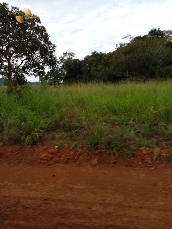 Fazenda à venda de 7.430 ha em Nova Mutum, MT, Brasil
