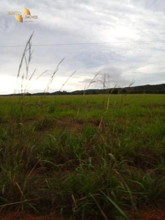 Fazenda à venda de 7.430 ha em Nova Mutum, MT, Brasil