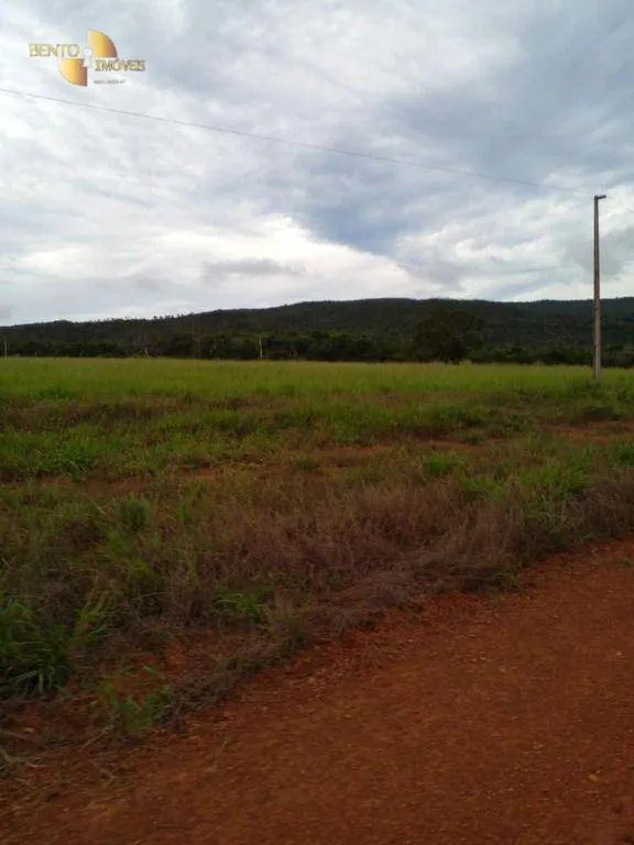 Fazenda à venda de 7.430 ha em Nova Mutum, MT, Brasil