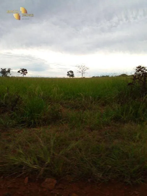 Fazenda à venda de 7.430 ha em Nova Mutum, MT, Brasil
