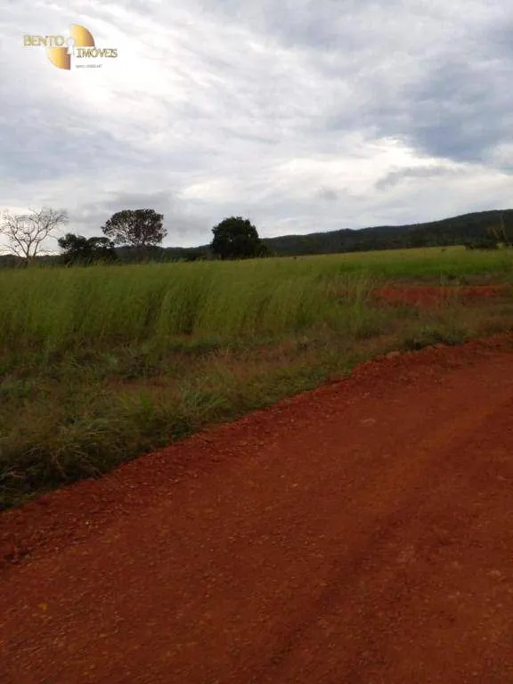 Fazenda à venda de 7.430 ha em Nova Mutum, MT, Brasil