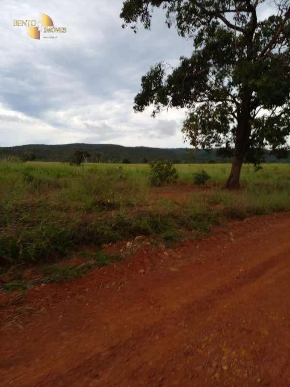 Fazenda à venda de 7.430 ha em Nova Mutum, MT, Brasil