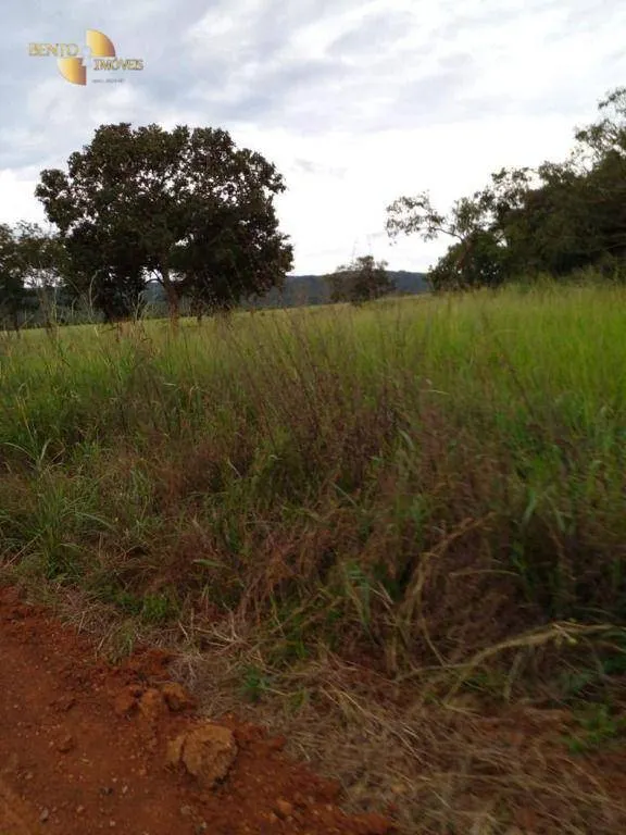 Fazenda à venda de 7.430 ha em Nova Mutum, MT, Brasil