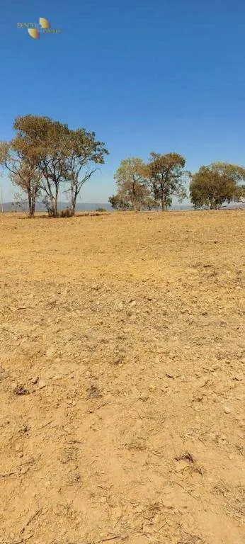 Fazenda à venda de 7.430 ha em Nova Mutum, MT, Brasil