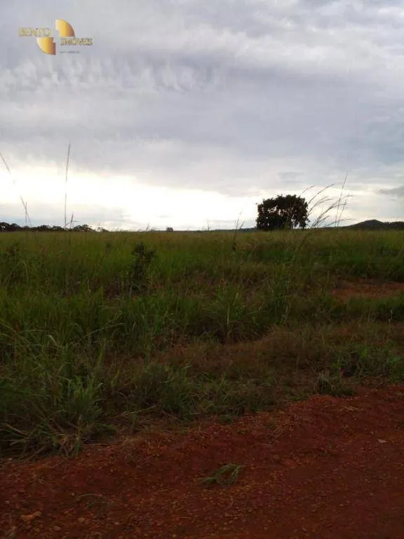 Fazenda à venda de 7.430 ha em Nova Mutum, MT, Brasil