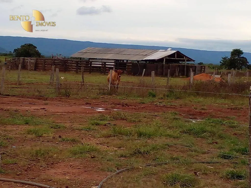 Fazenda à venda de 7.430 ha em Nova Mutum, MT, Brasil