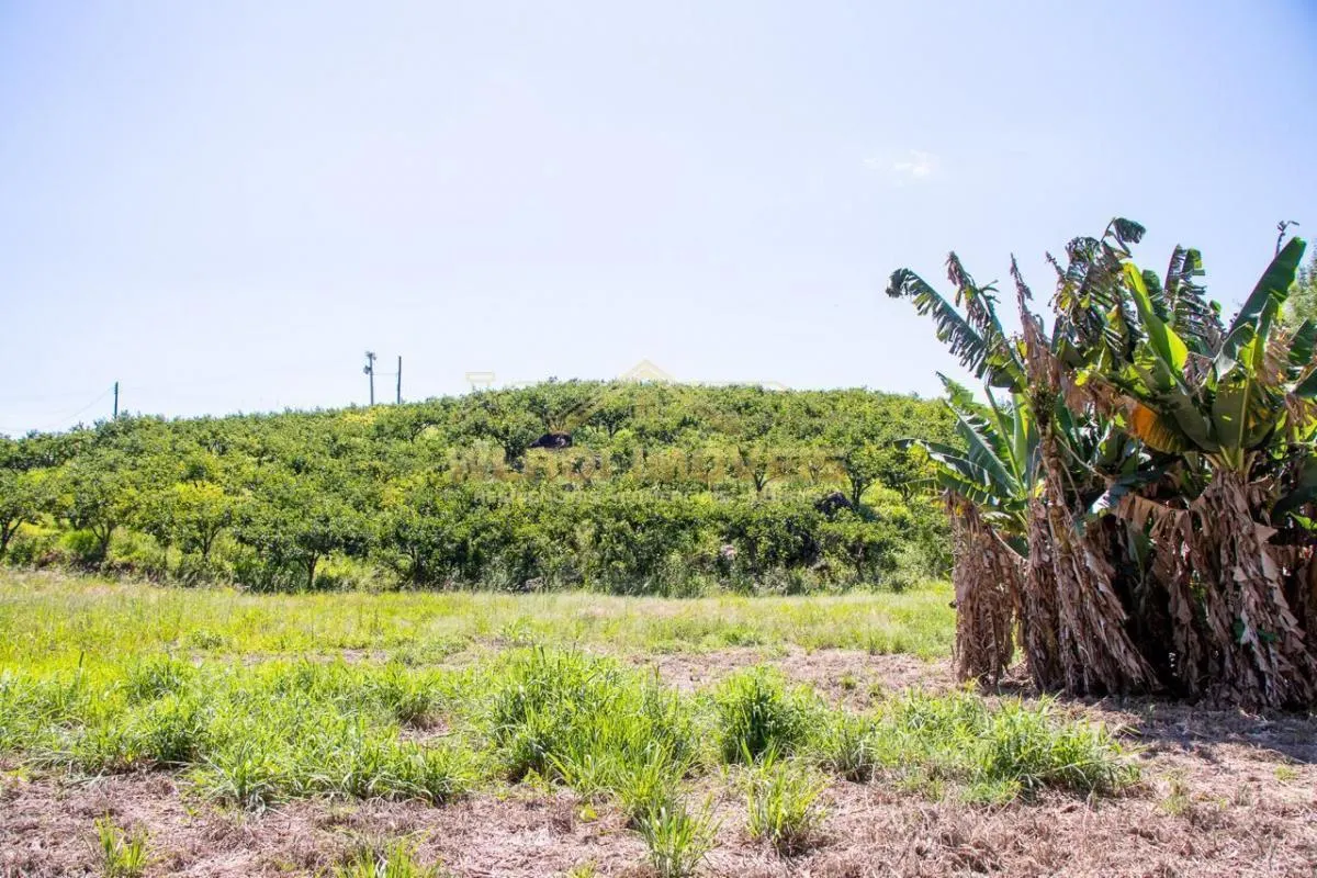 Sítio à venda de 6 ha em Morungaba, SP, Brasil