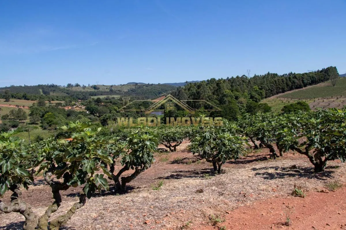 Sítio à venda de 6 ha em Morungaba, SP, Brasil