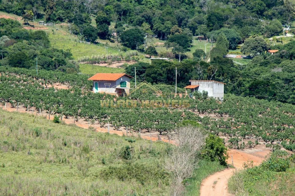 Sítio à venda de 6 ha em Morungaba, SP, Brasil