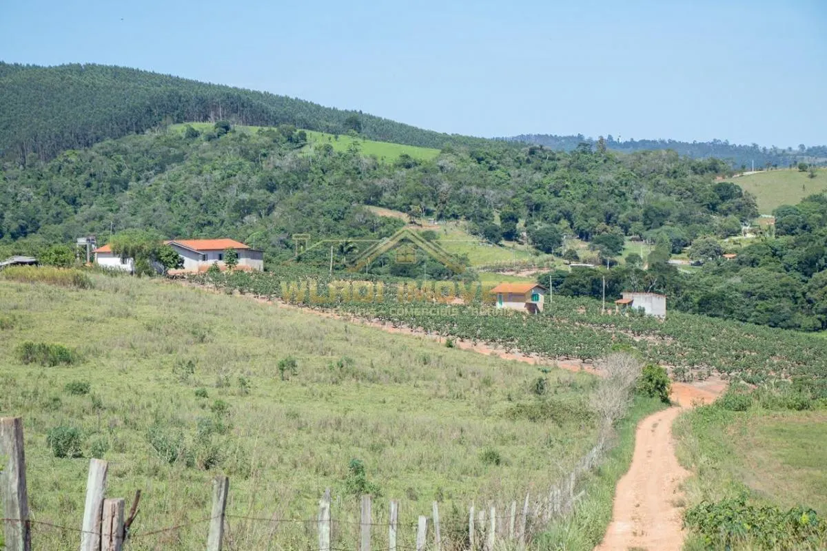 Sítio à venda de 6 ha em Morungaba, SP, Brasil