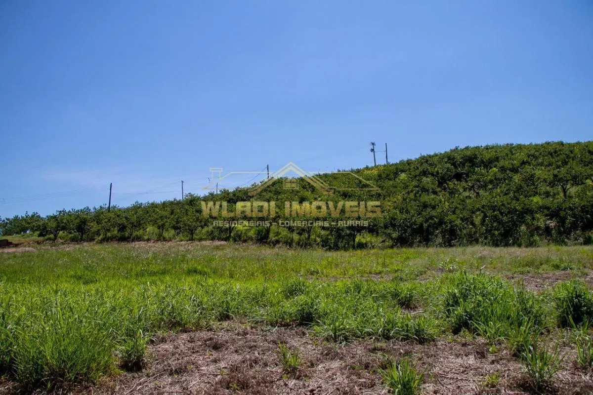 Sítio à venda de 6 ha em Morungaba, SP, Brasil