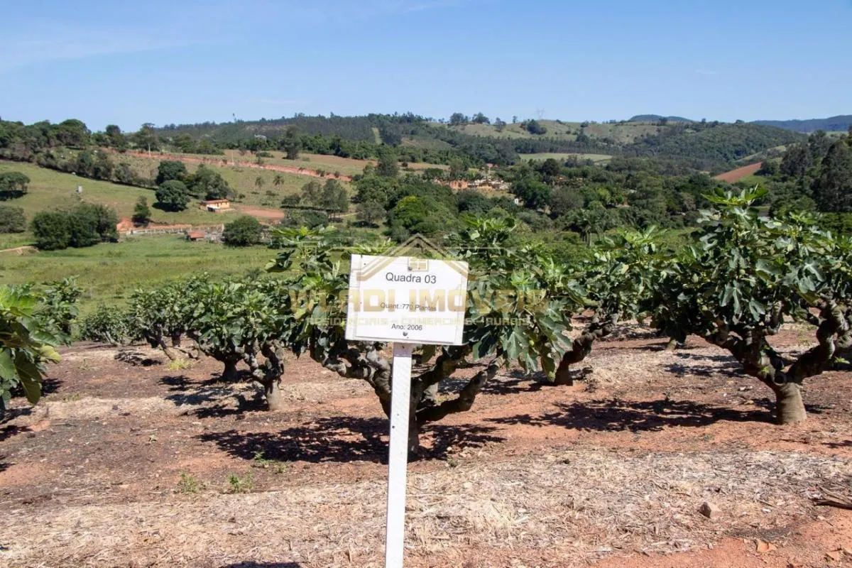 Sítio à venda de 6 ha em Morungaba, SP, Brasil