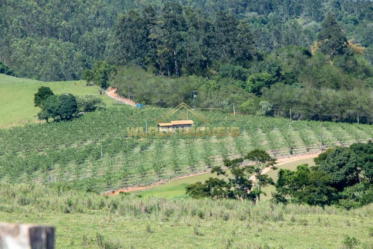 Sítio à venda de 6 ha em Morungaba, SP, Brasil