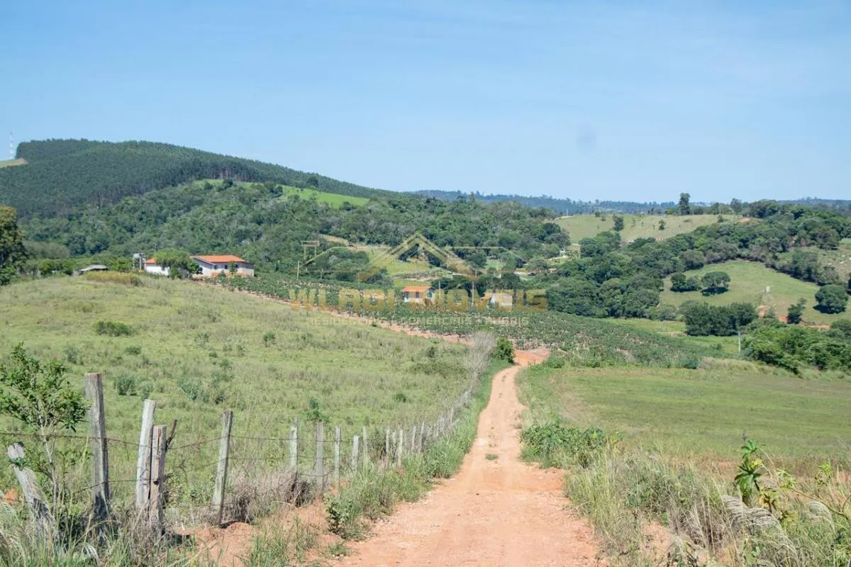 Sítio à venda de 6 ha em Morungaba, SP, Brasil