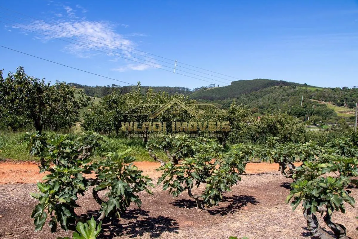 Sítio à venda de 6 ha em Morungaba, SP, Brasil
