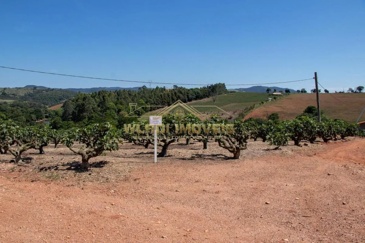 Sítio à venda de 6 ha em Morungaba, SP, Brasil