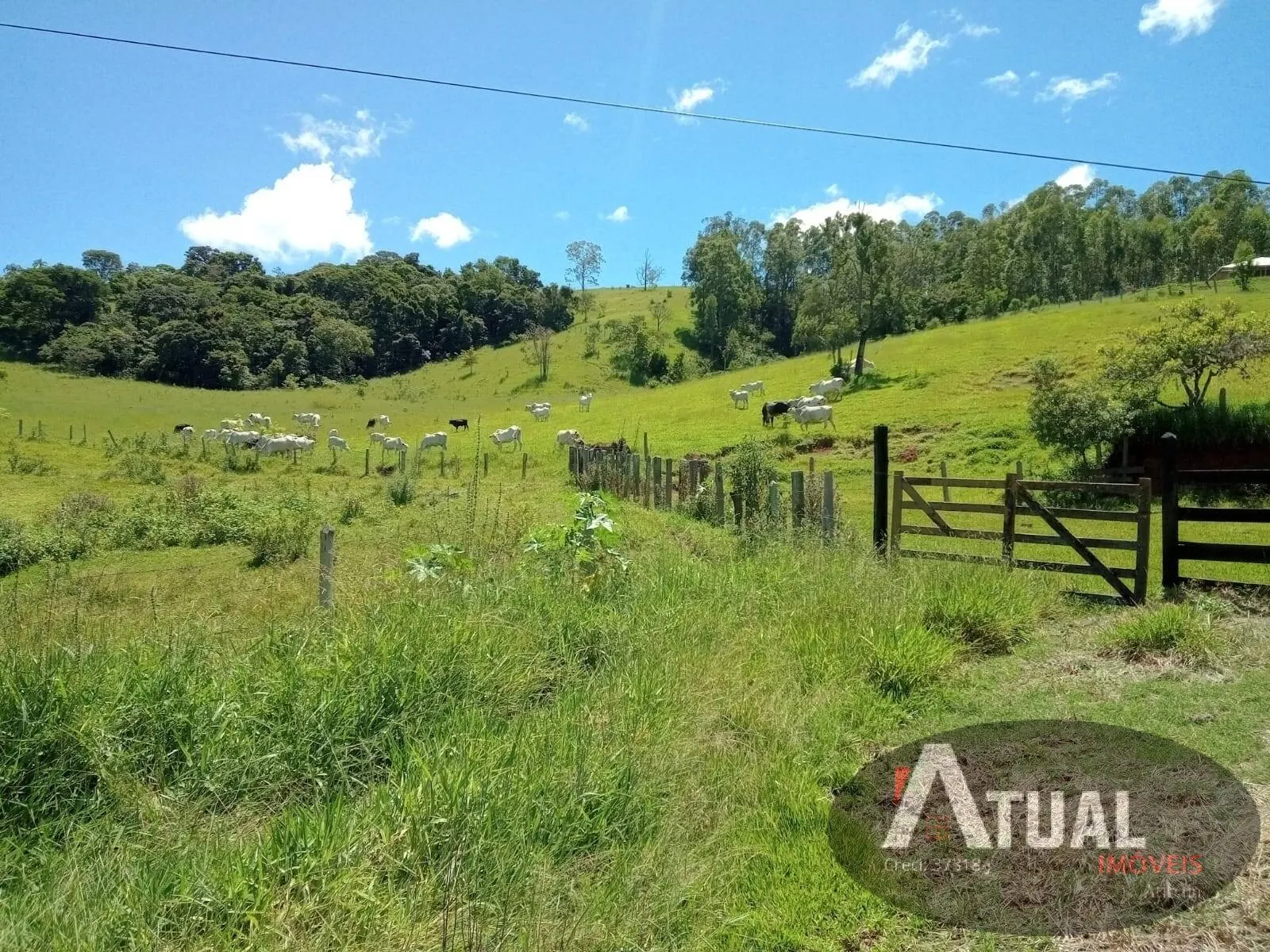 Sítio à venda de 15 ha em Piracaia, SP, Brasil