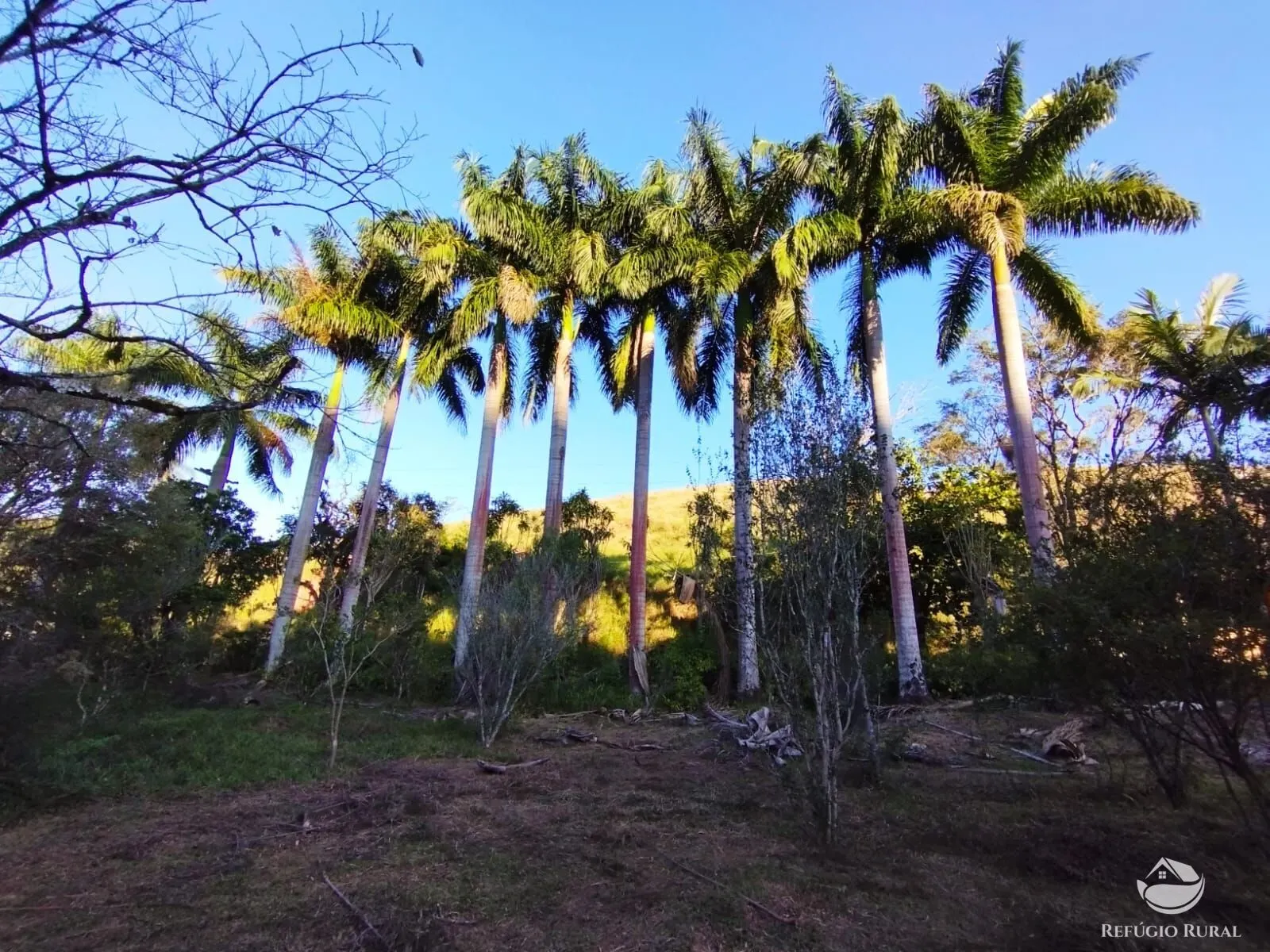 Fazenda à venda de 271 ha em São José dos Campos, SP, Brasil