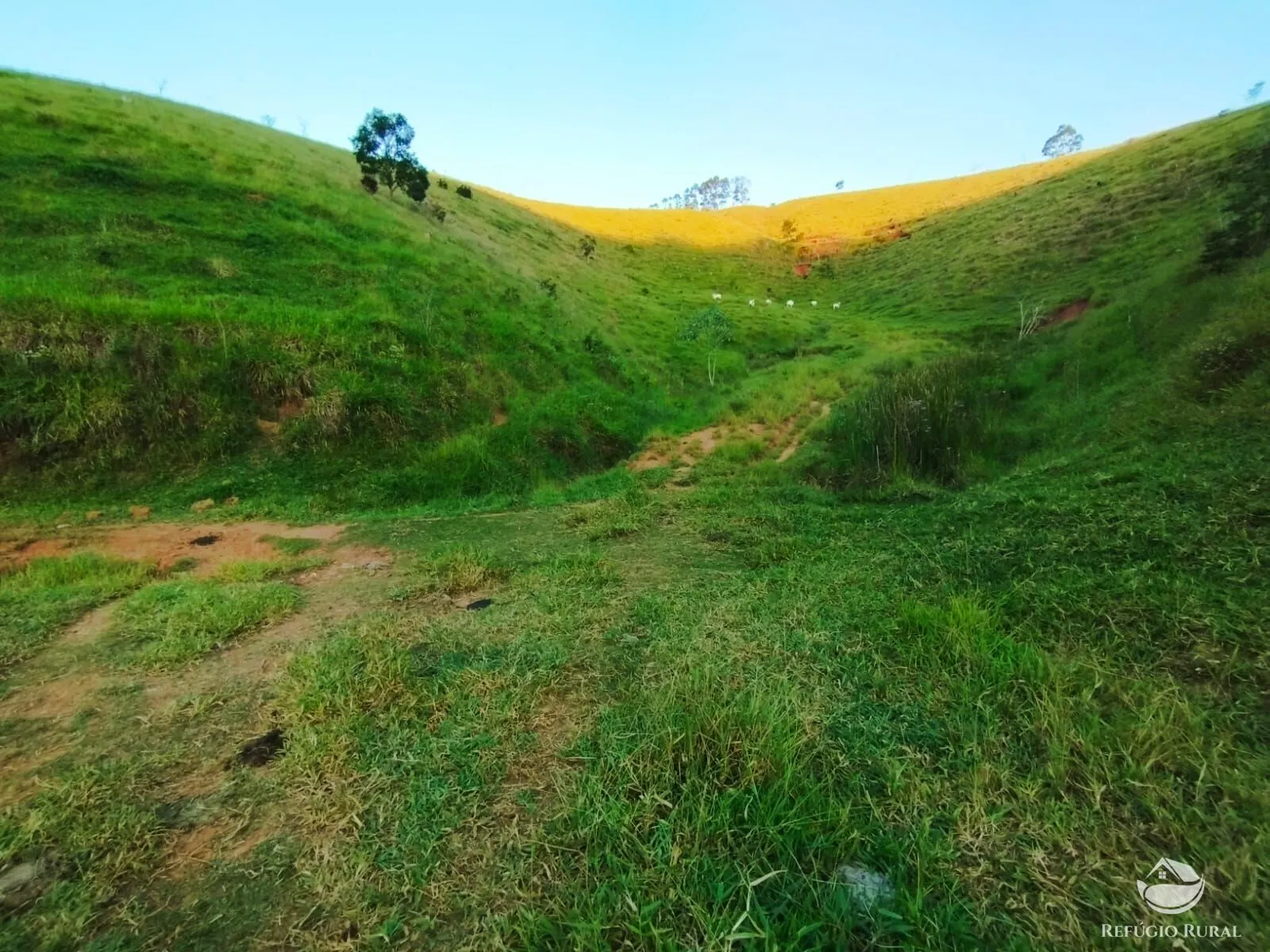 Fazenda à venda de 271 ha em São José dos Campos, SP, Brasil