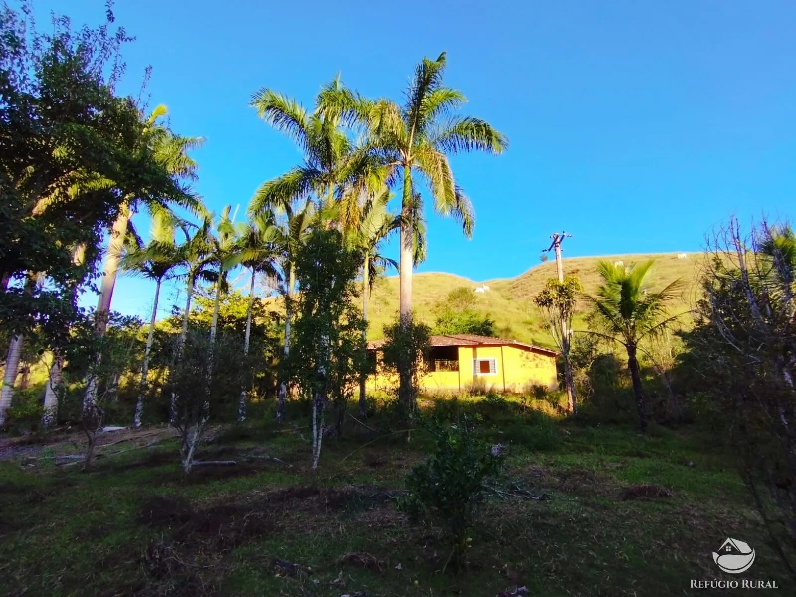 Fazenda à venda de 271 ha em São José dos Campos, SP, Brasil