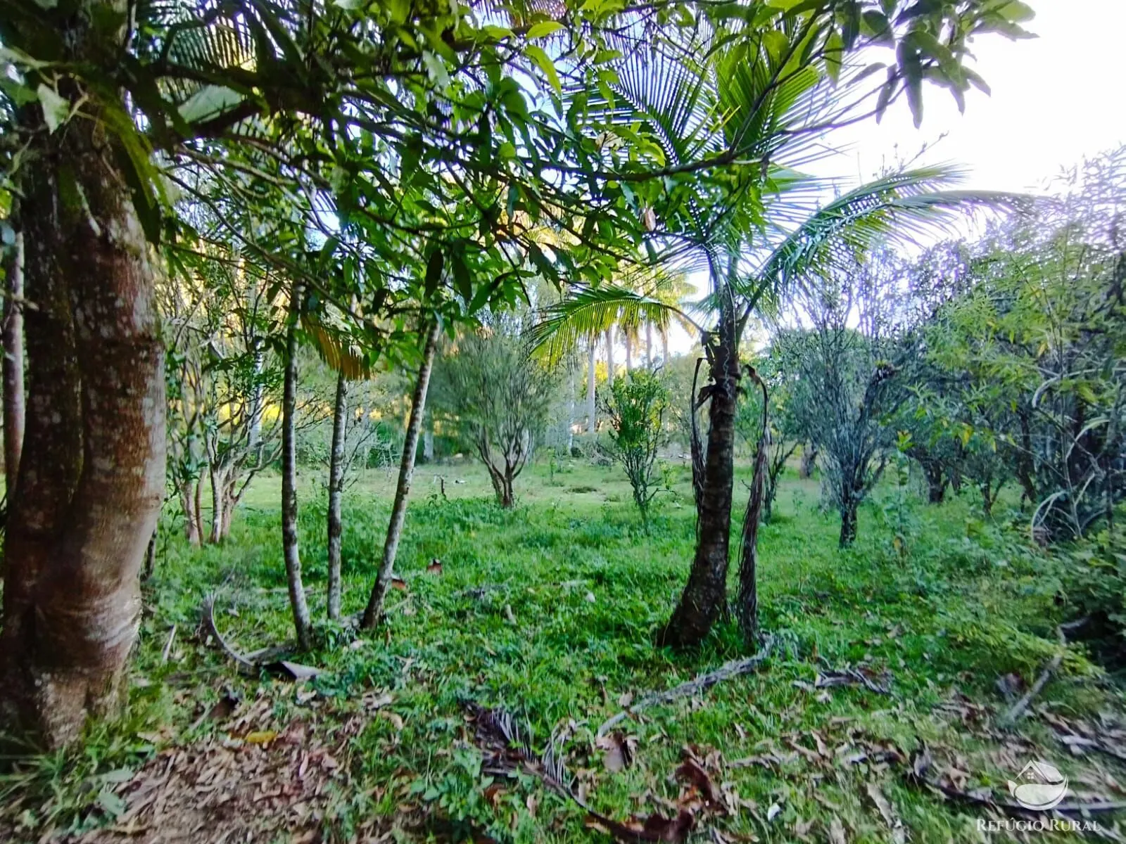 Fazenda à venda de 271 ha em São José dos Campos, SP, Brasil