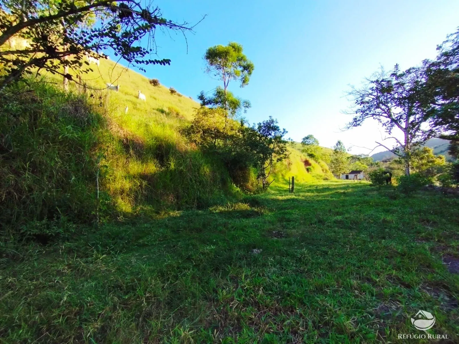 Fazenda à venda de 271 ha em São José dos Campos, SP, Brasil