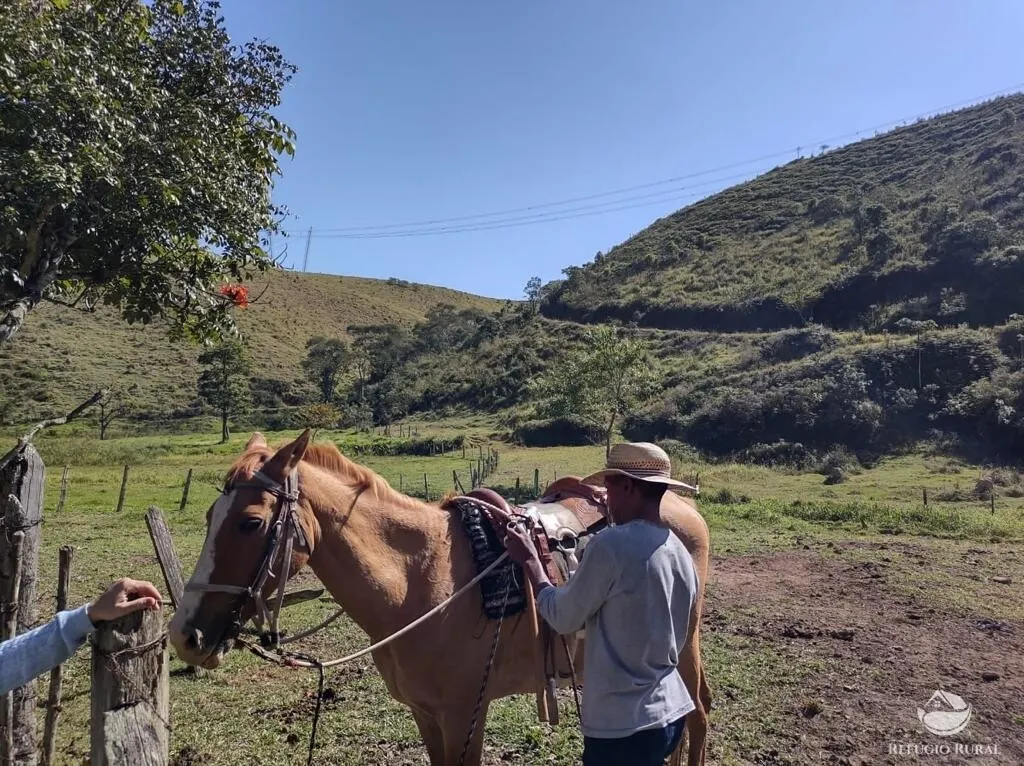 Fazenda à venda de 271 ha em São José dos Campos, SP, Brasil
