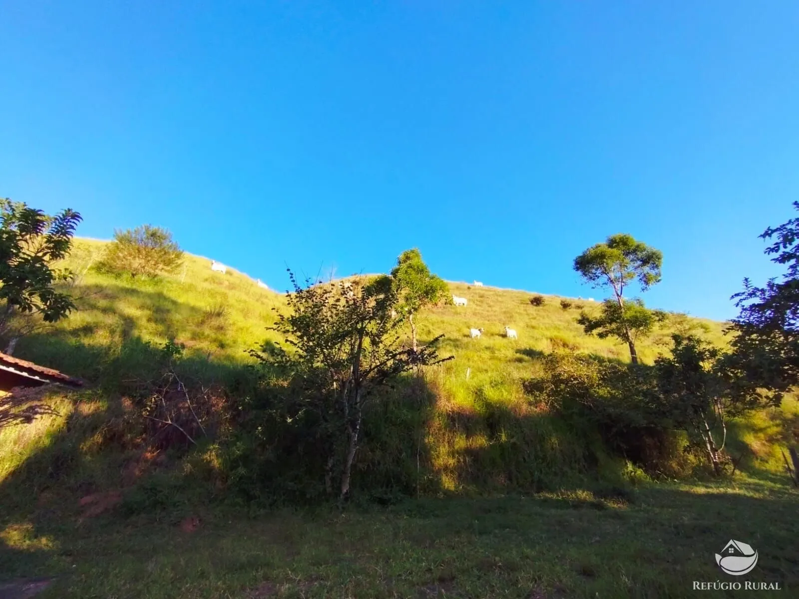 Fazenda à venda de 271 ha em São José dos Campos, SP, Brasil