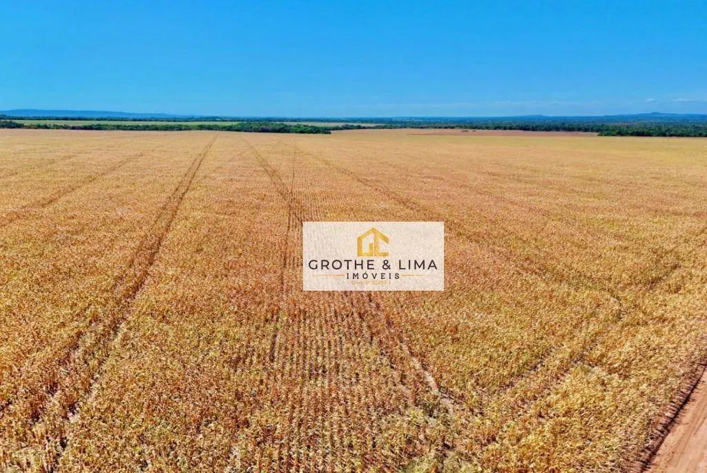 Farm for sale of 4,066 acres in Araguaína, TO, Brazil