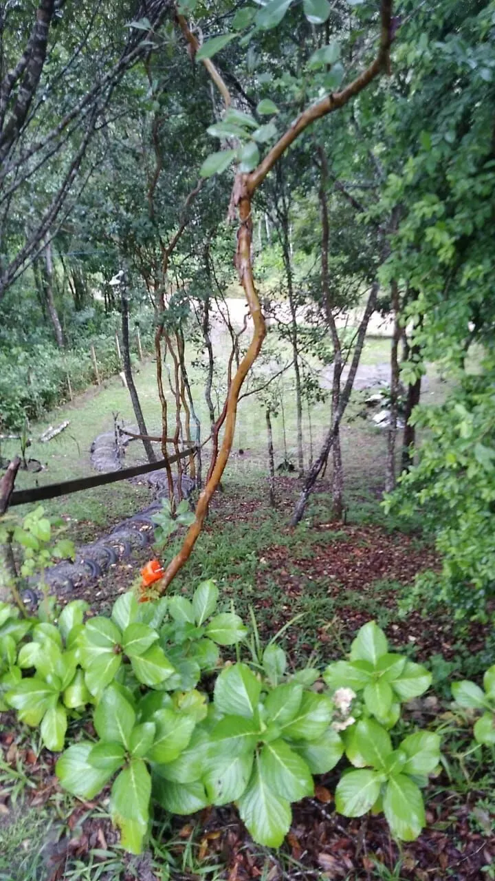 Country home for sale of 754 m² in Itajaí, SC, Brazil