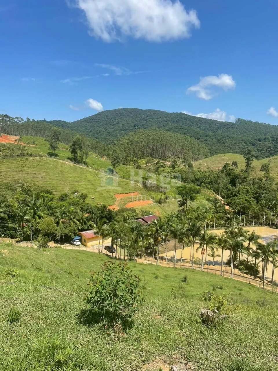 Fazenda à venda de 13 ha em Canelinha, SC, Brasil