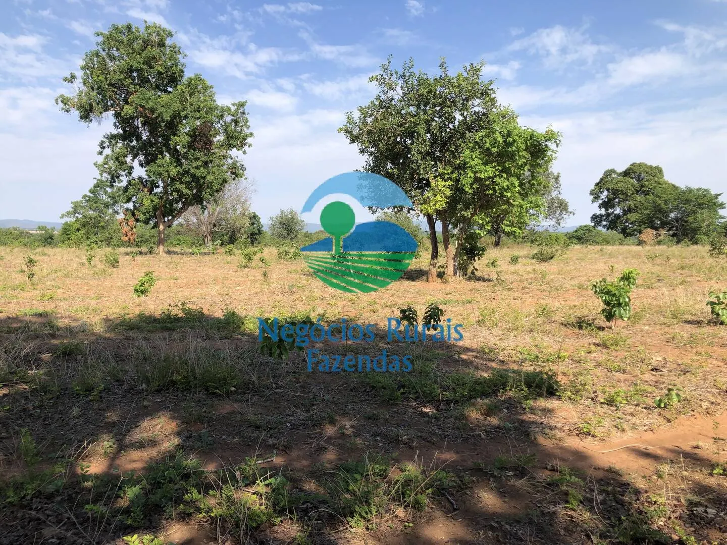 Fazenda à venda e para Arrendar de 1.258 ha em Palmeirópolis, TO, Brasil