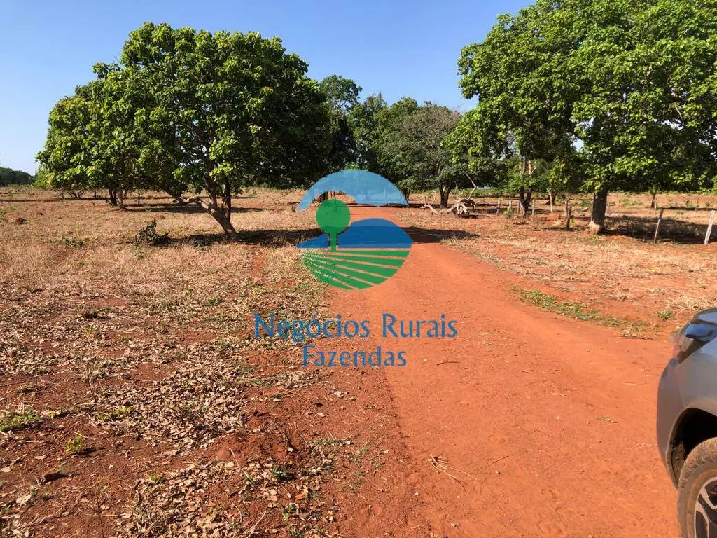 Fazenda à venda e para Arrendar de 1.258 ha em Palmeirópolis, TO, Brasil