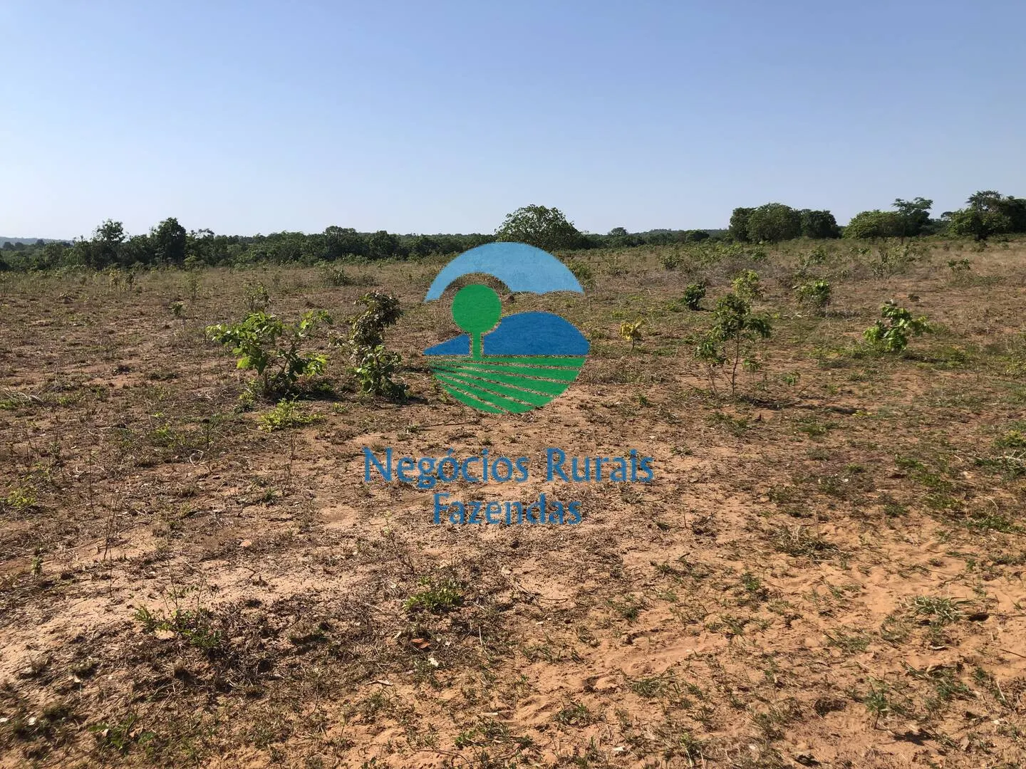 Fazenda à venda e para Arrendar de 1.258 ha em Palmeirópolis, TO, Brasil