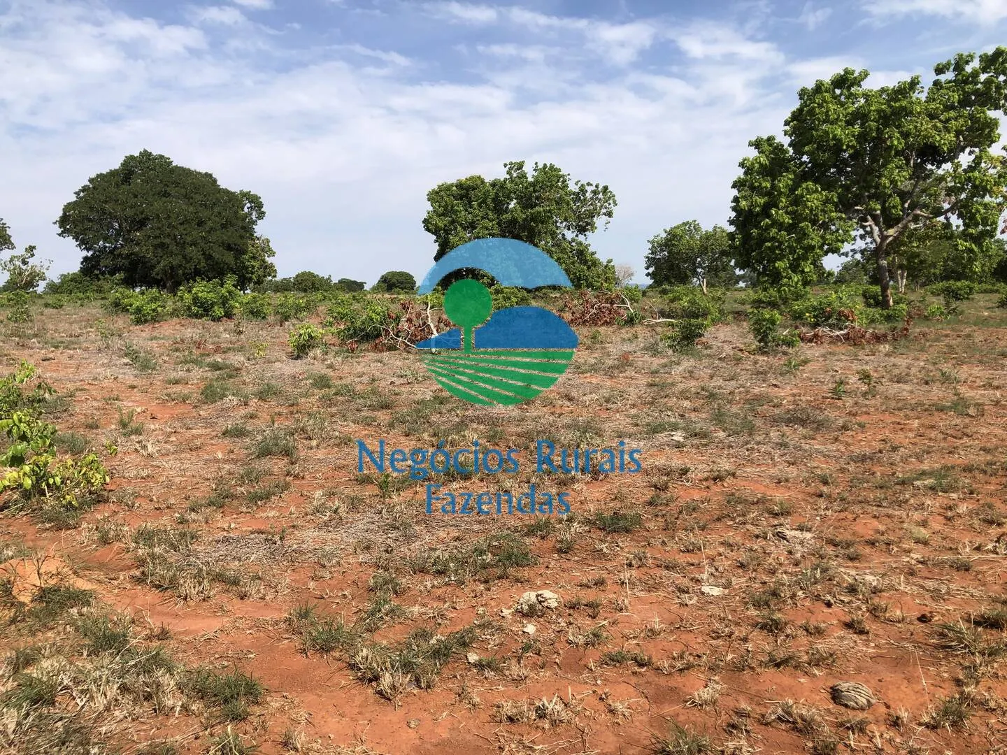 Fazenda à venda e para Arrendar de 1.258 ha em Palmeirópolis, TO, Brasil